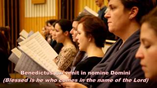 Mass for choir and orchestra - Sanctus and Benedictus