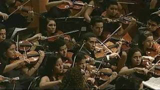 Symphony No.5 in B flat Op.100 - II Mov Allegro marcato