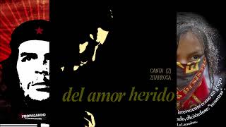 Del amor herido