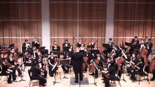 Chamber Symphony No. 1: Path of Echoes
