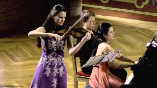 Violin Sonata No 1 in G Mag op. 78