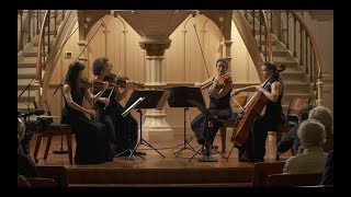 String Quartet op. 51 n. 2