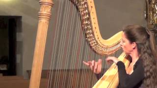 Fantasie for Harp, c-moll, op. 35