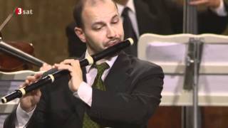 Concerto for recorder, flute, strings in E minor - Part. 1