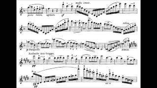 Fantaisie brillante Faust for violin  and orchestra, op.20