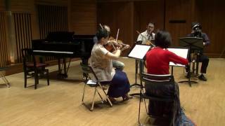 Quintet for Contrabassoon and Strings Op.63