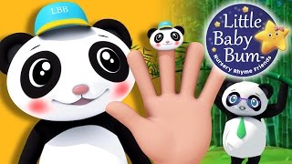 Finger Family - Panda Family!
