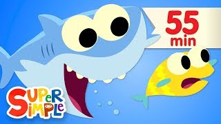 Baby Shark | + More Kids Songs
