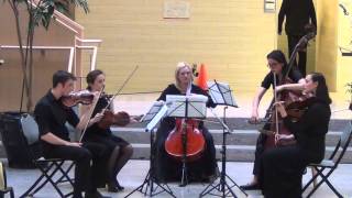 String Quintet Op 17