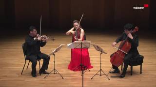 Serenade for String Trio in D Major, Op.8-1