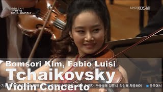 Violin Concerto D Major Op.35