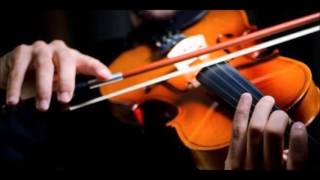 Concert-Polka for 2 violins