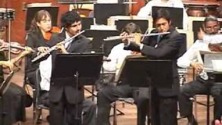Concerto for Two Flutes - 1. Allegro