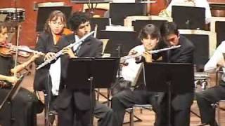 Concerto for Two Flutes  2. Largo - 3. Rondo: Allegro ma non tanto