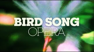 Bird Song Opera (La flauta mágica)