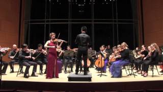 Violin Concerto, Op. 28