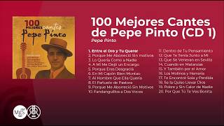 100 Mejores Cantes de Pepe Pinto