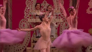 Nutcracker (Cascanueces)