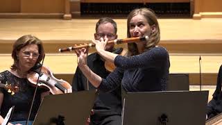 Flute Concerto in E minor
