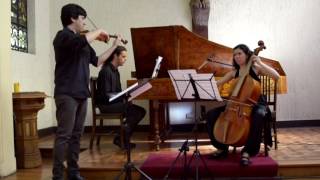 Sinfonia para Violin, Cello y Bajo Continuo