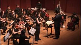 Clarinet Concerto No.2 in F-minor, Op.5, Allegro