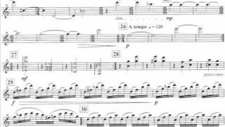Violin concerto - Mvt 1