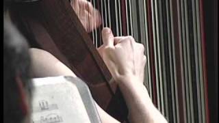 Harp Concerto, Op. 74 - III. Allegro Giocoso