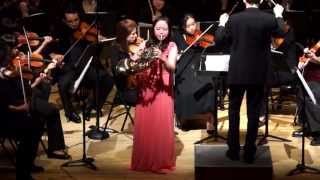 Concierto para trompa y orquesta en Si b Mayor, Op. 91