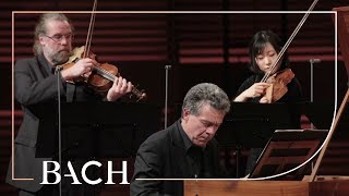 Harpsichord concerto in F minor BWV 1056