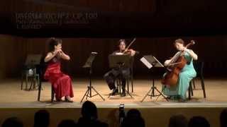 Divertimento N°2 Op.100 para Flauta, Violín y Violoncello