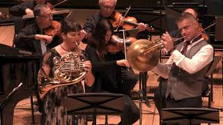 Concerto for two Horns- Allegro maestoso