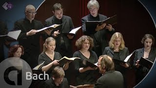 Motet BWV 227 'Jesu, meine Freude'
