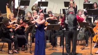 Flute Concerto - III Allegro Scherzando