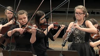 Concerto for Violin and Oboe in c minor, BWV 1060