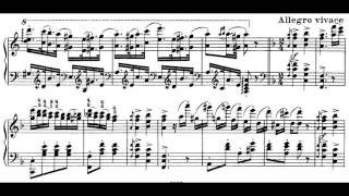 Hungarian Rhapsody No. 14