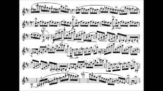 13th violin concerto