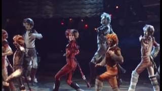 Cats - Finale: The Ad-Dressing of Cats