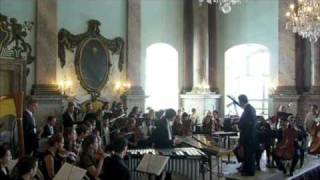 Concerto pour marimba, vibraphone et orchestre - III Mov. Vif