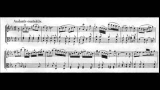 Duo for Violin and Viola No. 2, K.424