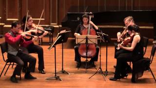String Quintet nº 5 K 593