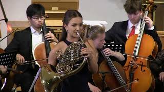 Horn Concerto nr. 4 KV 495
