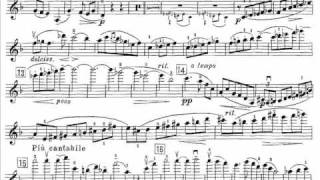 Violin Concerto -Ⅰ Mov Allegro (begin)
